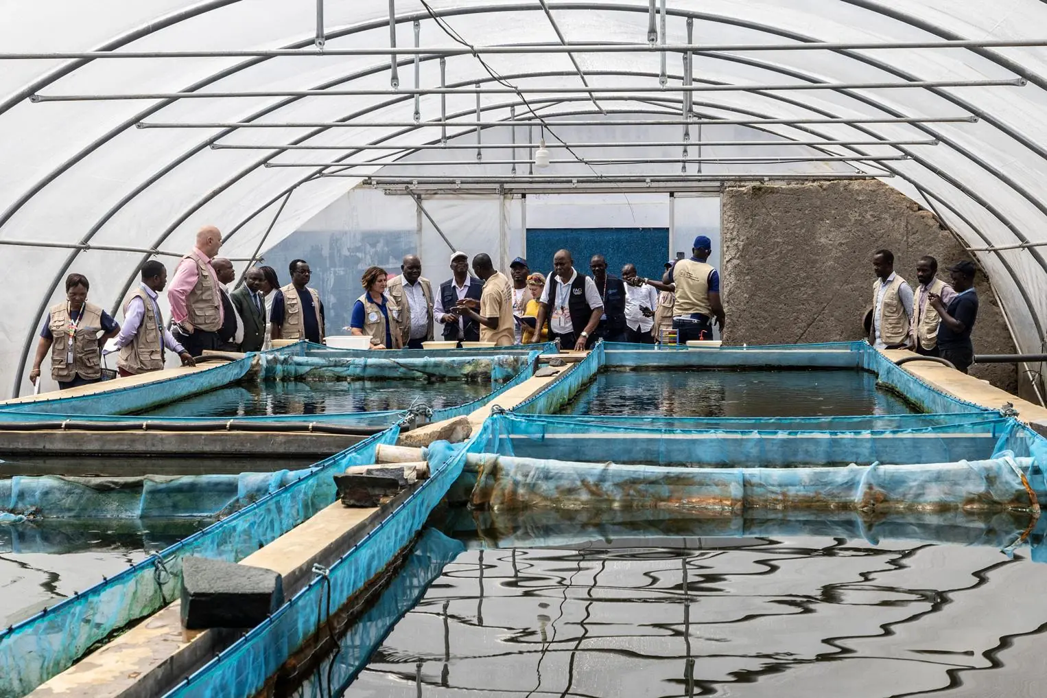 Illustration d'activités modernes de pêche et d'aquaculture en Afrique